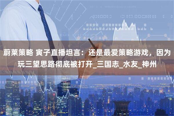 蔚莱策略 寅子直播坦言：还是最爱策略游戏，因为玩三望思路彻底被打开_三国志_水友_神州