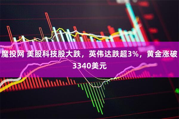 魔投网 美股科技股大跌，英伟达跌超3%，黄金涨破3340美元