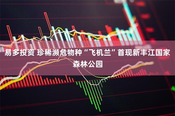 易多投资 珍稀濒危物种“飞机兰”首现新丰江国家森林公园