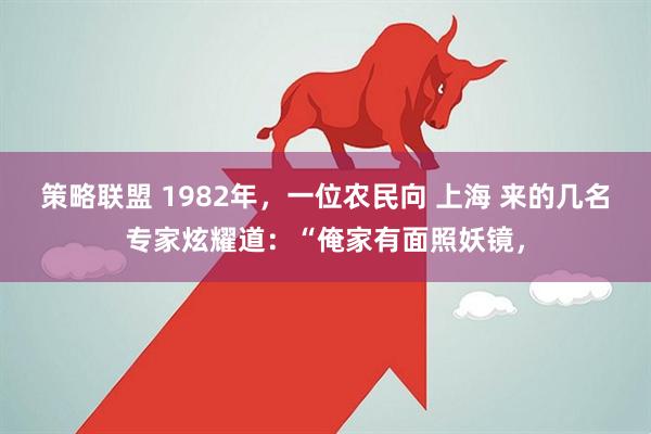 策略联盟 1982年，一位农民向 上海 来的几名专家炫耀道：“俺家有面照妖镜，